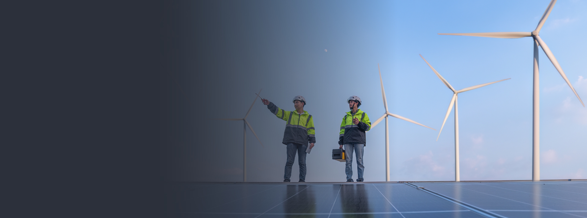 Renewable energy website homepage