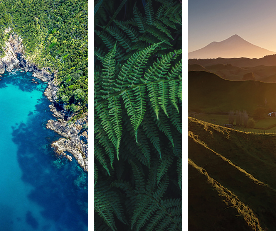 Our Values images 2025 940 x 788 environment