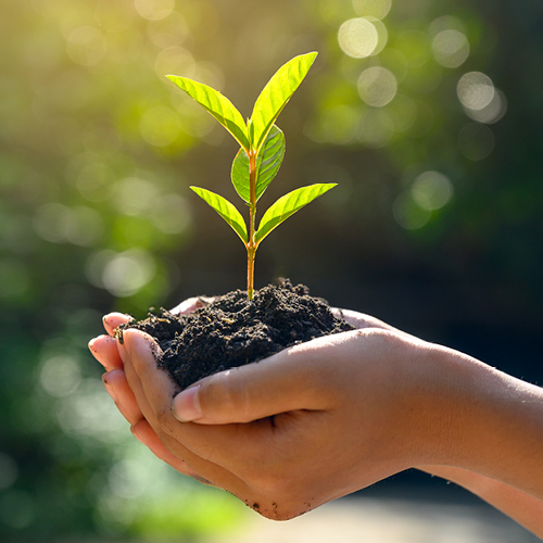 Invest in people 500x500